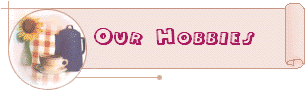 Our Hobbies